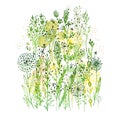 Trendy autumn background, grass and dandelions. Vector botanical illustration, Great design element for congratulation