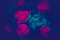 Trendy color ultra violet concept. Ultraviolet rose flower abstract background