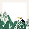 Trendy banner with tropical leaves,Toucan bird and space for text.