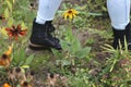 Trendy black boots and jeans, Woman walking in garden or in park on a cloudy autumn day. Garden flowers, plants. Outdoor, day Royalty Free Stock Photo