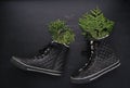 Trendy black quilted sneakers with green conifer branches and butterfly on blackboard background. Minimalist black, dark mode.