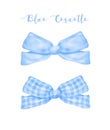 Trendy Blue Coquette ribbon bows Watercolor hand painting soft pastel set