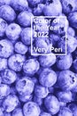 Trendy Color year 2022 very peri. Fresh ripe blueberries background. Summer harvest concept, vitamin and vegetarian