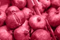 Trendy Color of the year 2023: Viva Magenta