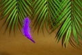 Trendy concept - purple feather levitation over wooden cube on brown background. Geometric shape and fluffy neon feather