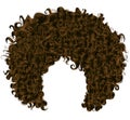 Trendy curly dark brown hair . realistic 3d . spherical hairs