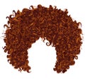 Trendy curly red ginger hair . realistic 3d . spherical hairs
