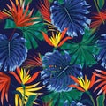 Trendy Dark jungle tropical forest ,contrasts with colourful Exotic flower and foliage leaves ,Design for fashion , fabric,