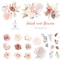 Trendy dried palm leaves, blush pink and rust rose, pale protea Royalty Free Stock Photo