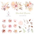 Trendy dried palm leaves, blush pink and rust rose, pale protea, white ranunculus Royalty Free Stock Photo