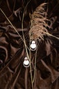 Trendy earrings and pampas grass on crumpled brown silk fabric surface. Stylish background with female jewelry