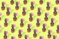 Trendy female pineapple hipster in sunglasses, pattern of stylish fruit Royalty Free Stock Photo