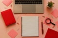 Trendy feminine workspace with laptop, plant, pen, open notebook, magnifying glass and sticky notes on pink background. Home