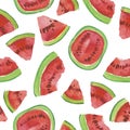 Trendy fruit pattern. Artistic Watermelon background. Watercolor watermelon seamless pattern.