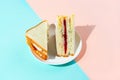 Trendy Korean sandwich inkigayo on a plate on two-color pastel background, shot with hard light Royalty Free Stock Photo