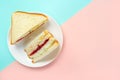 Trendy Korean sandwich inkigayo on a plate on two-color pastel background, top view Royalty Free Stock Photo