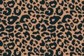 Trendy leopard pattern background. Hand drawn fashionable wild animal cheetah skin dark brown texture for fashion print Royalty Free Stock Photo