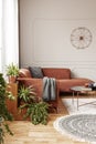 Trendy room interior with brown corner sofa with pillows and blanket in fashionable living room interior Royalty Free Stock Photo