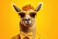 trendy llama in sunglasses over yellow background.