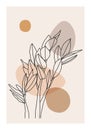 Minimalist botanical line art composition with leaves abstract collage