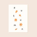 Trendy minimalist fall season greeting card. Autumn text letter with yellow foliage. Maple, acorn and oak leaf. Modern