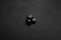 Trendy minimalistic matte black background with shells