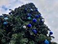 trendy modern Christmas tree with blue teeth made of glossy and