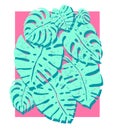 Trendy monstera palm trees on a pink background, Vector illustration. Summer design elements for holiday, travel, beach