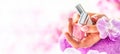 Trendy nail manicure. Woman hands holding nails polishes. Pink decoration from orchids Royalty Free Stock Photo