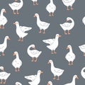 Trendy pattern with cute white gooses. Seamless scandinavian geese pattern. Vector domestic goose