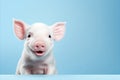 Trendy piglet with stylish pose on pastel background, ideal for fashion shots with text space