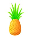 Trendy pineapple fruit. Exotic fresh juice, vegan food concept. Stock vector illustration isolated on white background