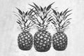 Trendy pineapple fruits decoration in BW