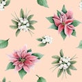 Trendy poinsettia Christmas flowers and white berries with leaves watercolor seamless pattern on peach pastel color Royalty Free Stock Photo