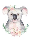 A poster with a koala. Watercolor cartoon koala tropical animal illustration. Jungle exotic summer print.