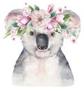 A poster with a koala. Watercolor cartoon koala tropical animal illustration. Jungle exotic summer print.