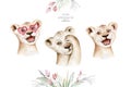 A trendy poster with a lion. Watercolor cartoon lion savanna animal illustration. Jungle savannah tropical exotic summer print Royalty Free Stock Photo