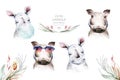 A trendy poster with warthog and hippo. Watercolor cartoon wild boar savanna animal illustration. Jungle savannah