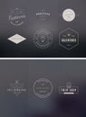 Trendy Retro Vintage Insignias Bundle