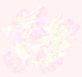 Trendy rose pattern and flack in a halftone style