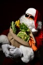Santa Claus with a bag full of vegetables and fruits Royalty Free Stock Photo