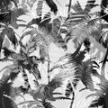 Trendy seamless exotic pattern with palm and tropical plants. Modern abstract design for paper, wallpaper, cover, fabric