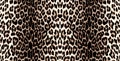 Trendy Seamless Leopard Skin Pattern, Abstract Design with Brown Colors. Royalty Free Stock Photo