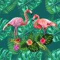 Trendy seamless pattern pink flamingo birds couple. Bright camelia flowers. Tropical monstera green leaves Royalty Free Stock Photo