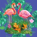 Trendy seamless pattern pink flamingo birds couple. Bright camelia flowers. Tropical monstera green leaves Royalty Free Stock Photo