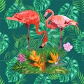 Trendy seamless pattern pink flamingo birds couple. Bright camelia flowers. Tropical monstera green leaves Royalty Free Stock Photo
