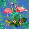 Trendy seamless pattern pink flamingo birds couple. Bright camelia flowers. Tropical monstera green leaves Royalty Free Stock Photo