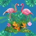 Trendy seamless pattern pink flamingo birds couple. Bright camelia flowers. Tropical monstera green leaves Royalty Free Stock Photo