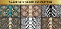 Trendy snake skin vector seamless patterns set. Hand drawn wild animal reptile skin, natural snake repeat texture for