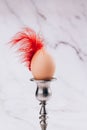 Trendy still life Easter composition with hen egg in vintage candlestick with bright red feather against light marble
